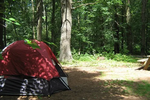 Cascadia Park
