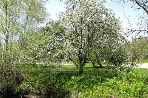 Cascadia Park