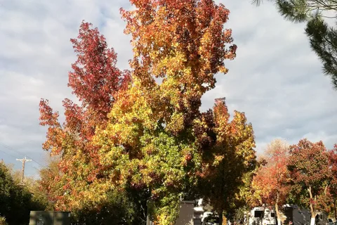 Mountain Gate RV Park