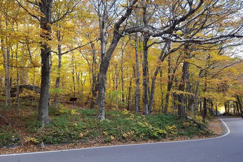 Smugglers' Notch State Park Campground