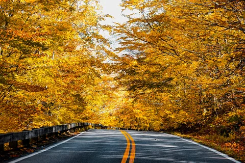 Smugglers' Notch State Park Campground