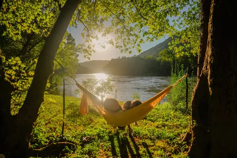 Grandview Sandbar - New River Gorge National River