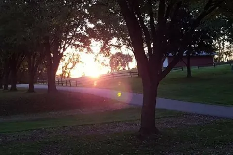 Palace Camp Ground
