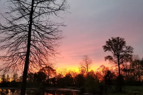 BEYONDER Resort Cajun Moon