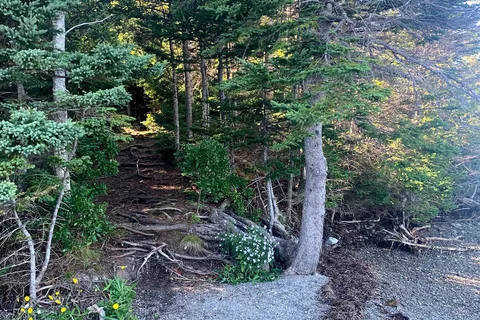 Boylston Provincial Park