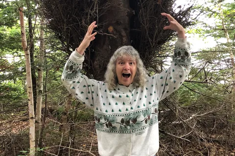 Boylston Provincial Park