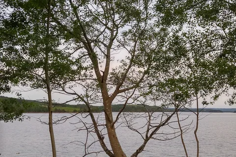 Boylston Provincial Park