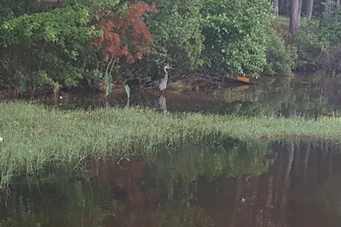 Jimmie Davis State Park