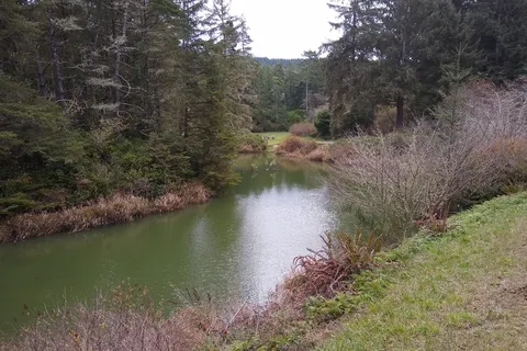 Lakeshore RV Park