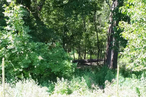 Blue Heron Campground