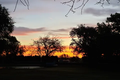 Oasis RV Park and Golf Course