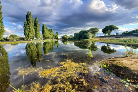 Oasis RV Park and Golf Course