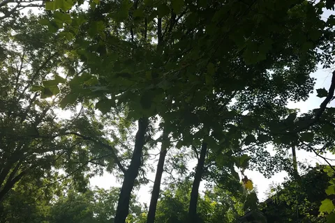 Folly's End Campground