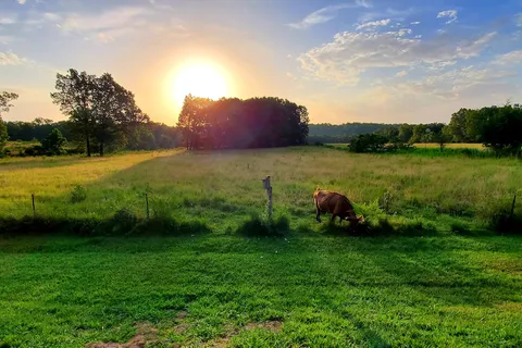 Sunburst Ranch