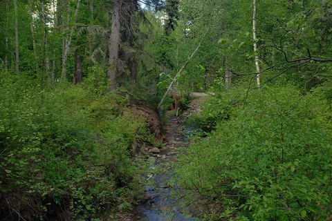 Moberly Lake Provincial Park