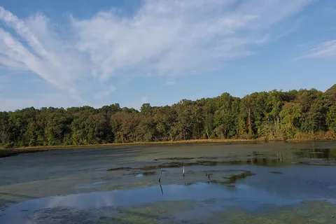 Smallwood State Park