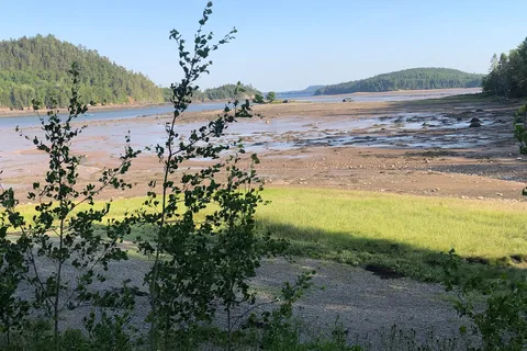 Oak Bay Campground
