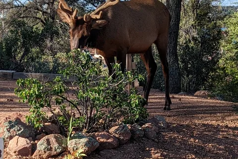 Payson Campground RV Resort