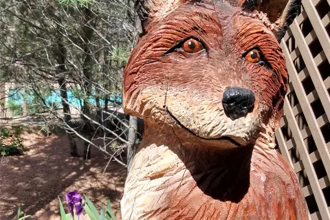 Payson Campground RV Resort
