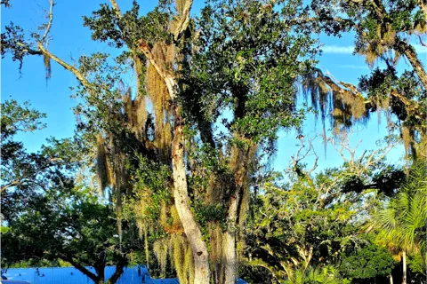 Vero Beach Kamp Inc