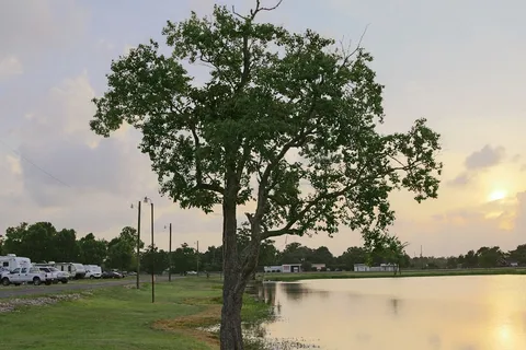 Orange Texas RV Resort