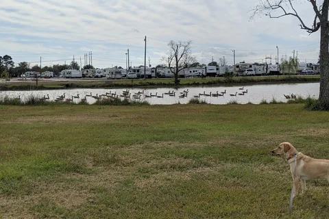 Orange Texas RV Resort