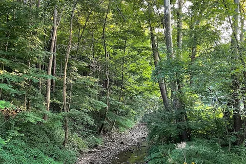 Rustic Knolls Campground