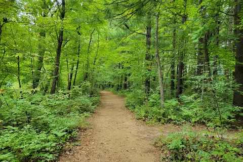 Apple River Canyon State Park