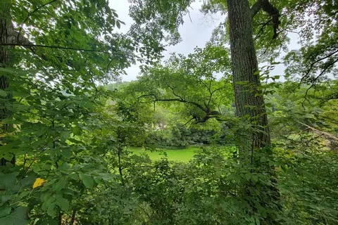 Apple River Canyon State Park
