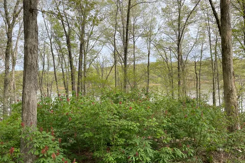 Park Ridge - Lake Wappapello State Park