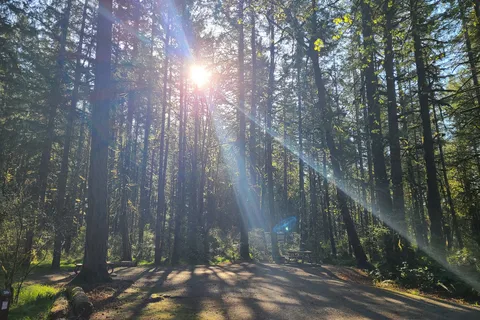 Stoltz Pool - Cowichan River Provincial Park