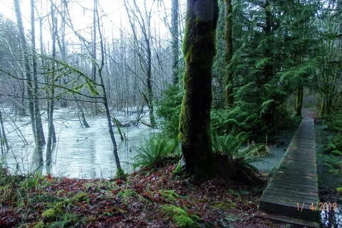 Stoltz Pool - Cowichan River Provincial Park