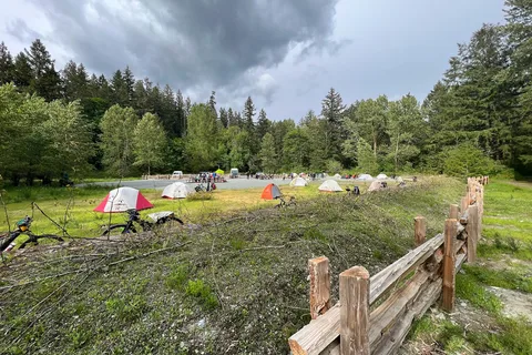 Stoltz Pool - Cowichan River Provincial Park