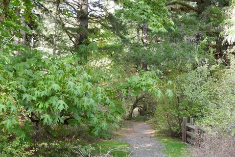 Stoltz Pool - Cowichan River Provincial Park