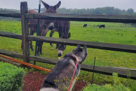 Deer Creek Motorcoach Resort HOA Galax VA