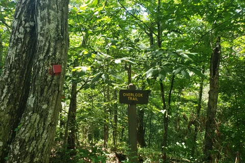 Meador - Bluestone State Park