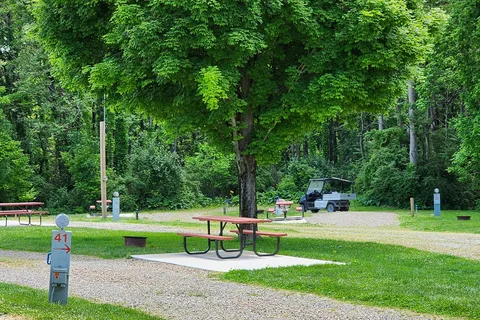 Wolfies Campground