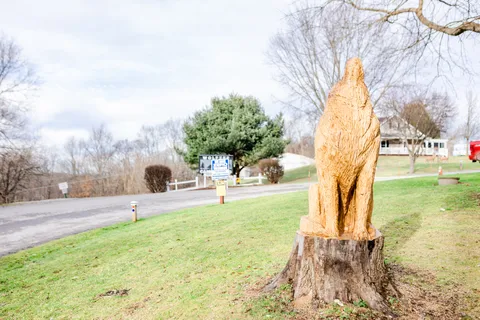 Wolfies Campground