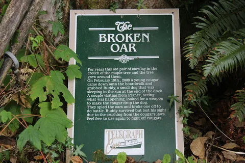Telegraph Cove Resort
