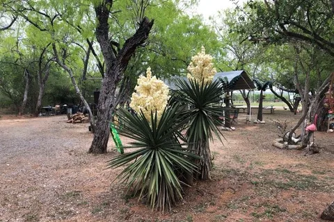 Cactus Country RV Park