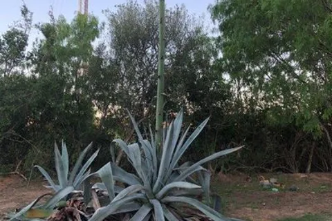 Cactus Country RV Park