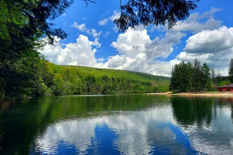 Greenwood Furnace State Park