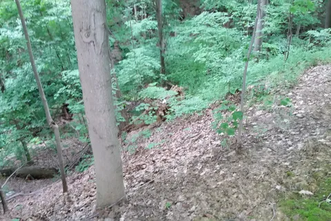 Timber Ridge Campground