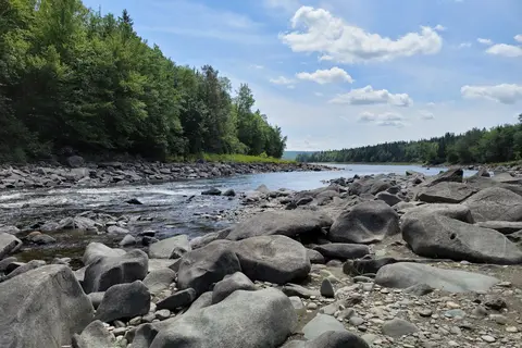 Lake Francis State Park