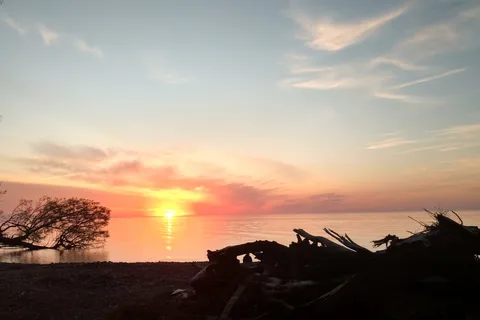 Shady Shores RV Resort & Campground