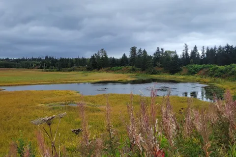 Slidehole Campground - Anchor River State Recreation Area