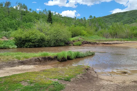 Little Deer Creek - Wasatch Mountain State Park
