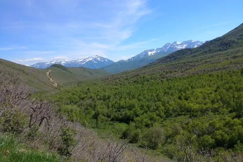 Little Deer Creek - Wasatch Mountain State Park