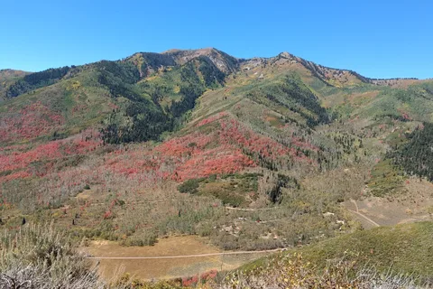 Little Deer Creek - Wasatch Mountain State Park