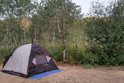 Little Deer Creek - Wasatch Mountain State Park